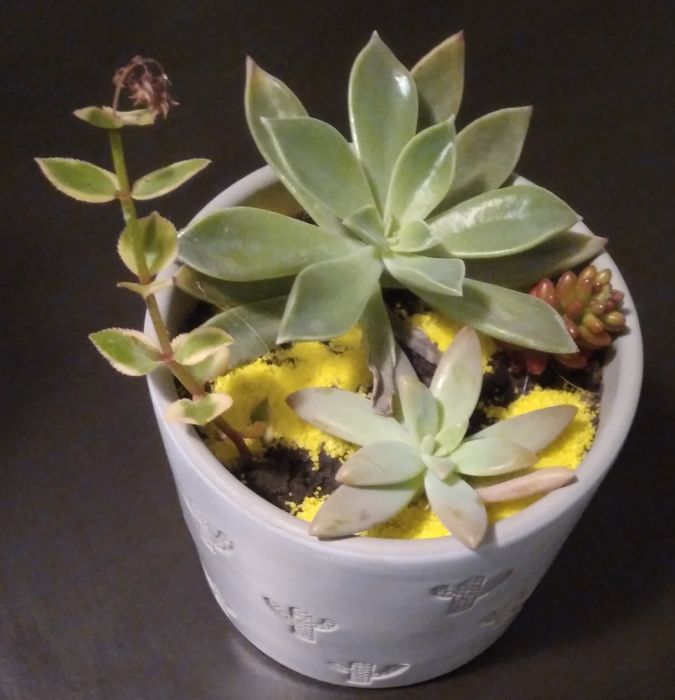 Vaso por apenas 6€. Linda oferta.