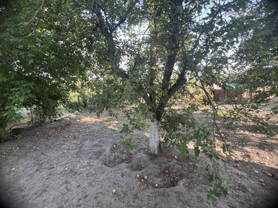 ‼️ПРОДАЖ  будинку   в селі  Лосятин