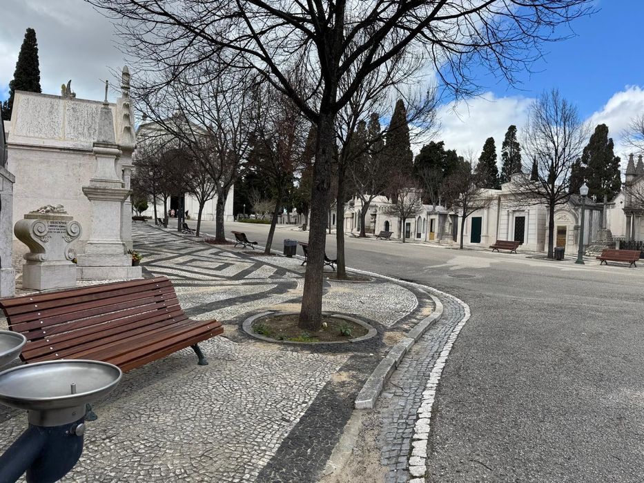 JAZIGO - Cemitério dos Prazeres - OPORTUNIDADE