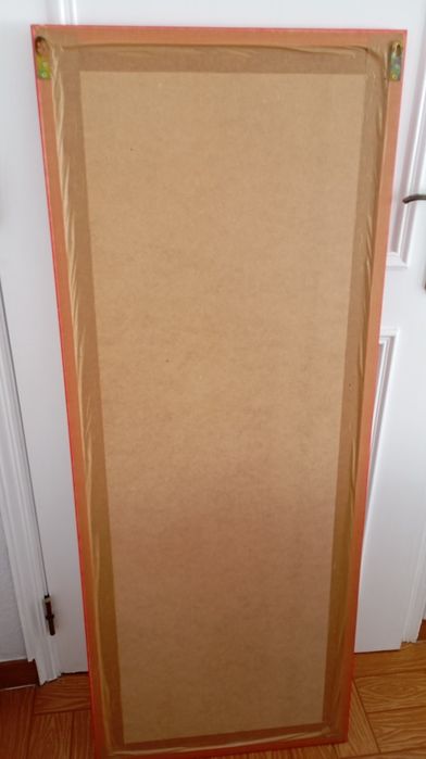 Espelho 40×150 cm