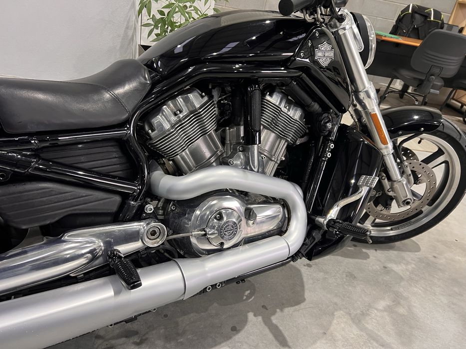 Harley Davidson V Rod Muscle