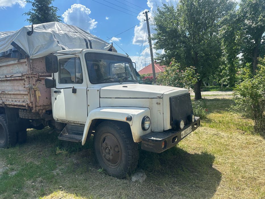 Продам газон срочно