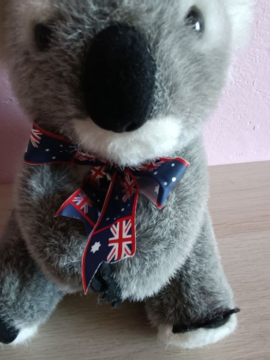 Maskotka miś koala z wstążką Australii 22 cm
