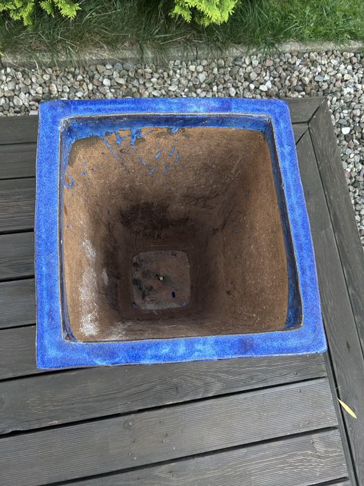 Donica kobaltowa mrozoodporna 64 cm