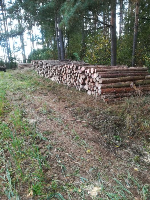 Sprzedam drewno opalowe