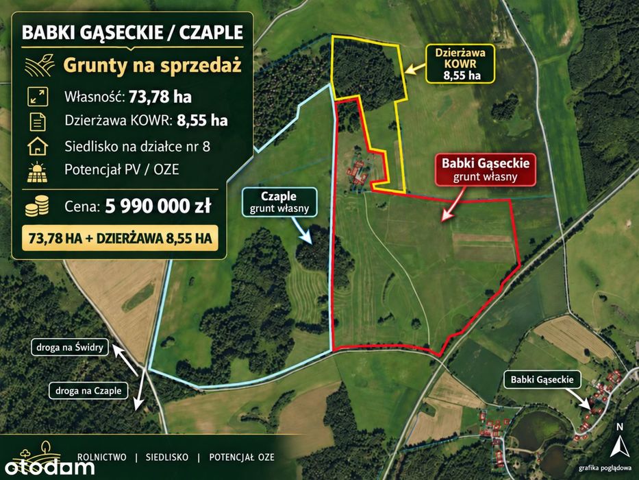 73,78 ha + siedlisko | Babki Gąseckie / Czaple | potencjał PV