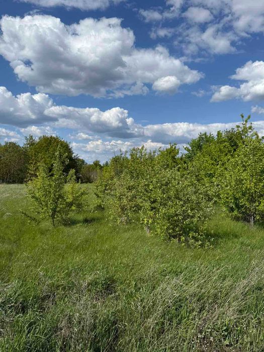 Продаж земельної ділянки 9 соток в районі аеропорту!