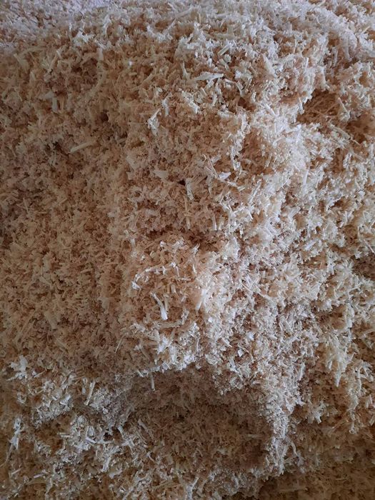 Продам тырсу (ясень)(сосна)