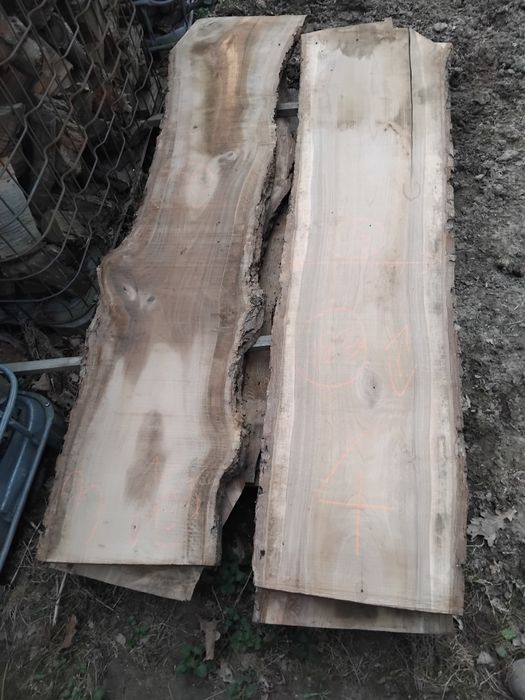 Foszty deski orzech suche mokre