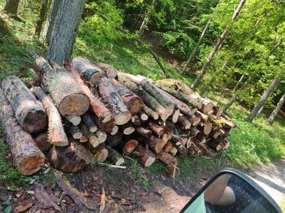 Drewno opałowe buk, dąb