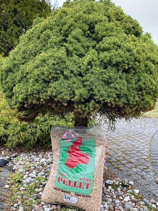 Pellet drzewny Slav FOREST ENplus A1 1050 kg dostawa w cenie