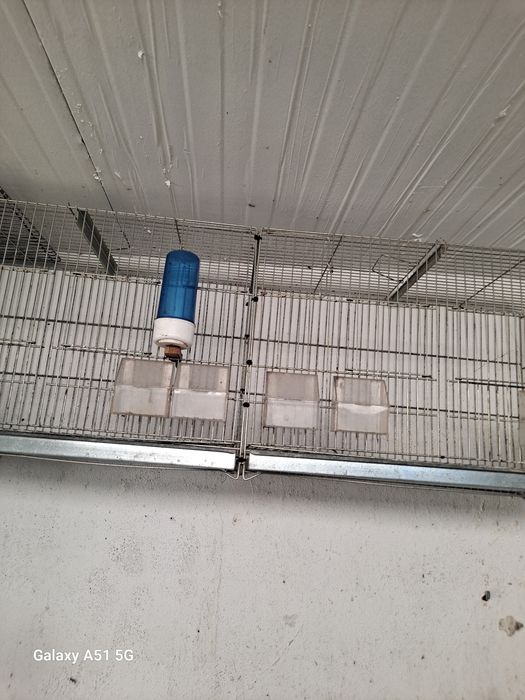 Vendo viveiros em bom estado.