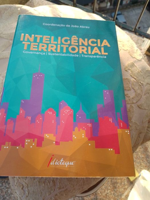 Inteligência Territorial-Joao Abreu-1 ediçao -Dioteque 10E-Peça Bébe-5E Desde 5E