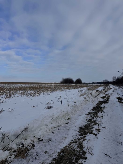 Продаж земельної ділянки поблизу Львова у с. Муроване 55 соток