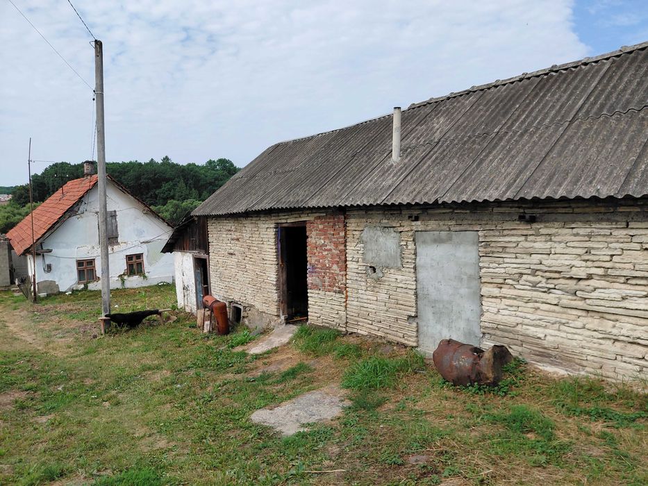 Земельна ділянка у ДАВИДОВІ, 21 сотка в селі з комунікаціями.
