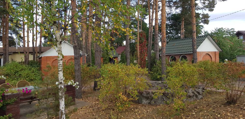 Готельно-ресторанний комплекс. 50сот., під забудову, Блакитне озеро