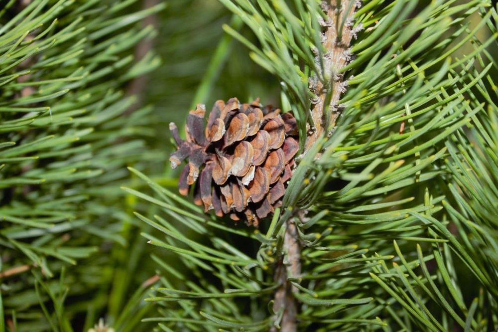 Фотограф та відеограф ДЕШЕВО
