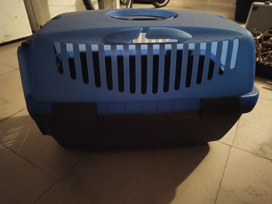 Caixa de transporte coêlho