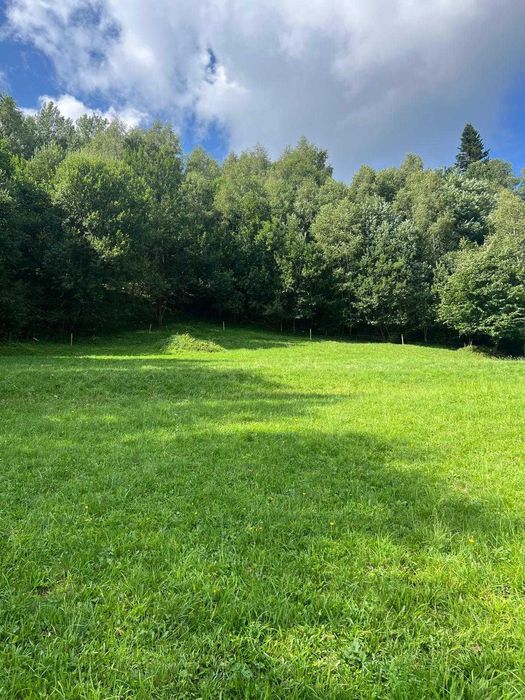 Działka 2480 m² | Piwniczna-Zdrój | Sucha Dolina | wyjątkowy widok - Więcej