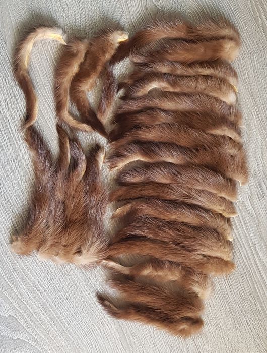 Норка хвостікі шкірка