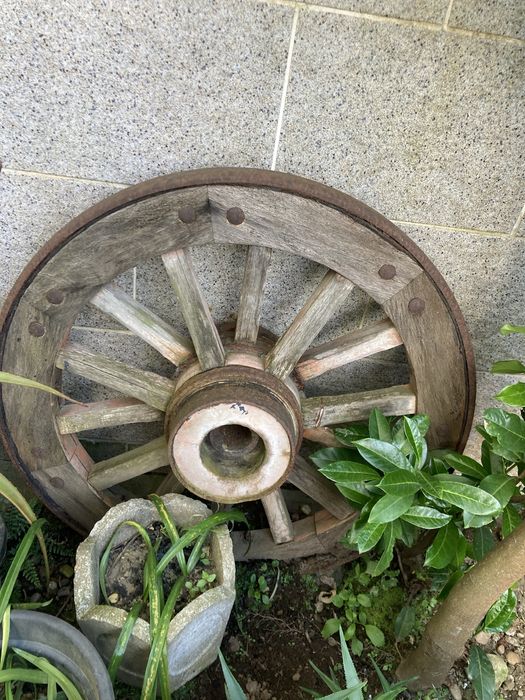 Roda de carro bois antiga
