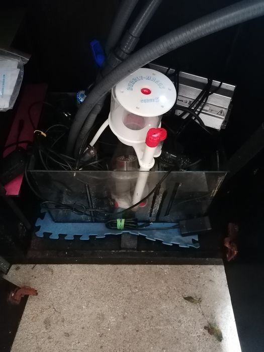 Aquário de água salgada