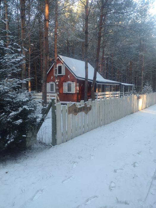 Wynajmę domek letniskowy  Kasieńka w Siemianówce