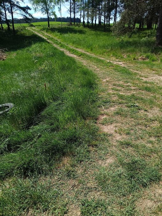 Działka rolno-budowlana w miejscowości Lipy , Stara Kiszewa, pomorskie