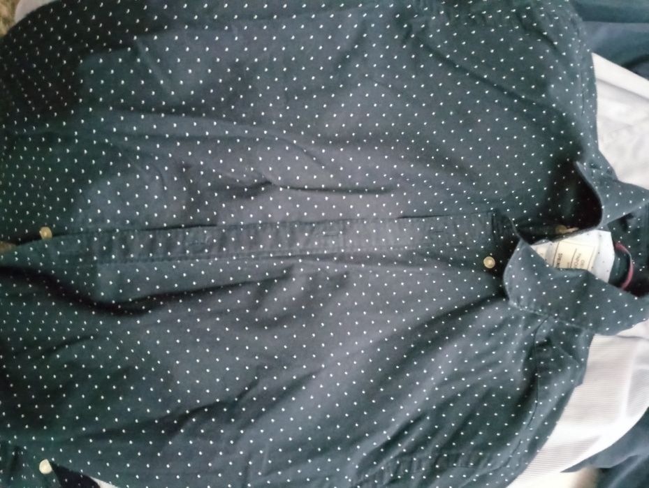 Camisas Springfield azuis (3x)