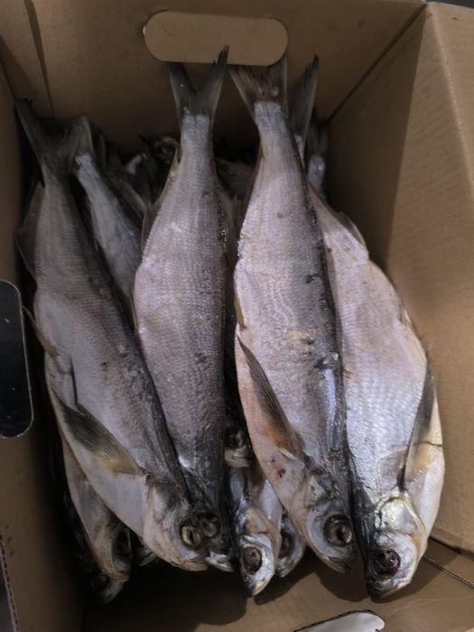 Чехонь в'ялена ,сушена