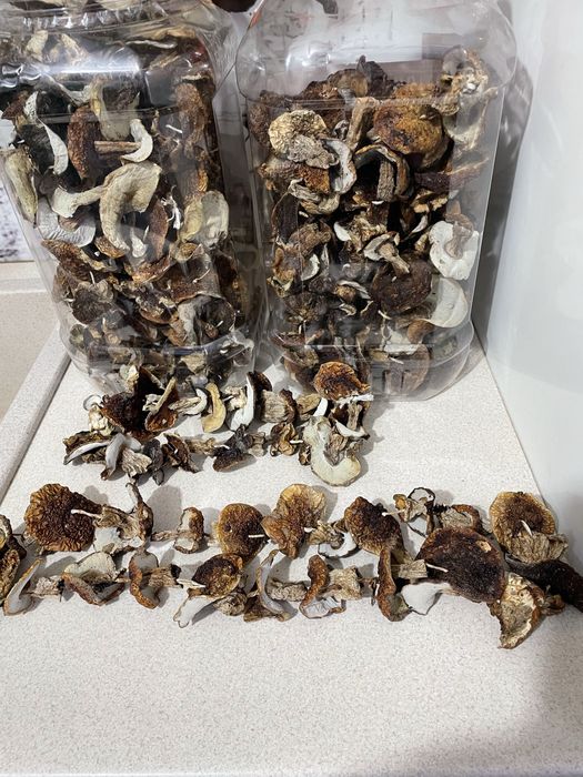 Гриби білі сушені