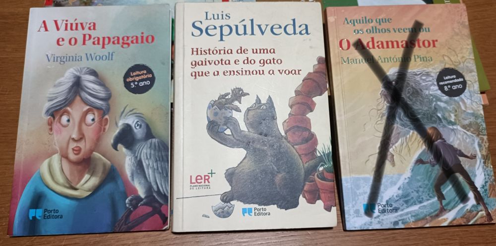 "A viúva e o pagagaio","História de uma gaivota...""A noite de  Natal"