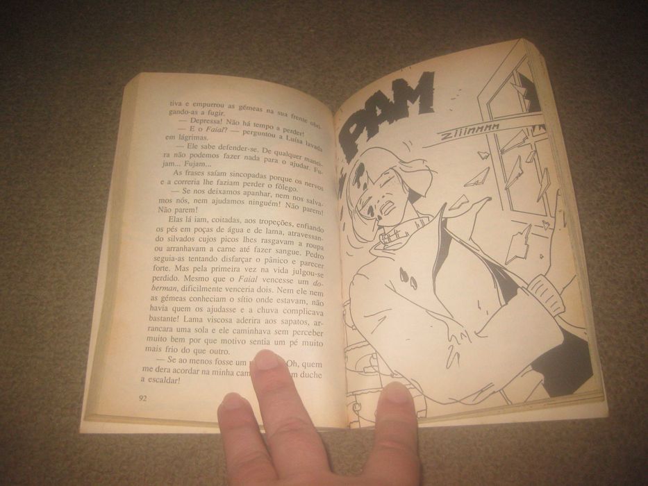 Livro "Uma Aventura no Inverno"