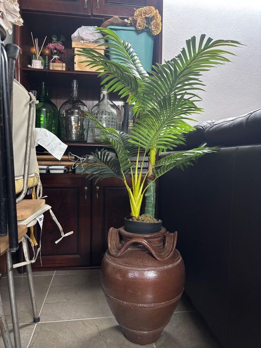 Planta e vaso de decoração