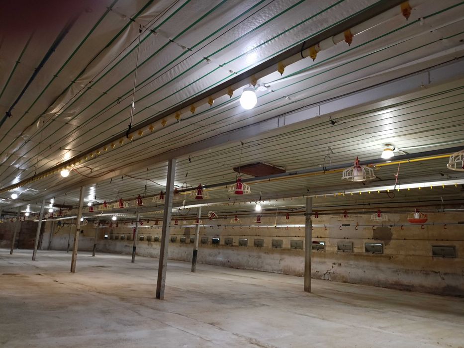 Sprzedam Kurnik Magazyn Hale Stadnina z dużą działka przy A18