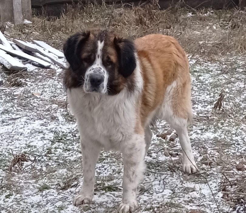 Запрошуємо на в'язку