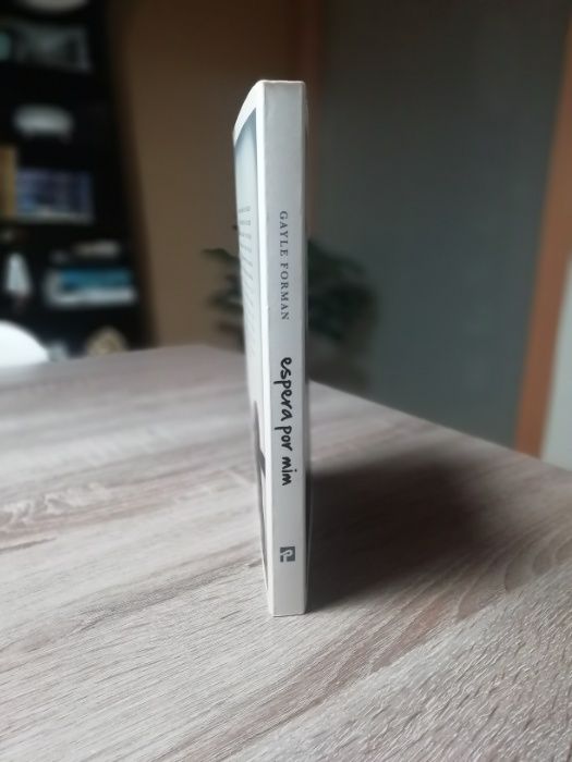 Espera Por Mim - Gayle Forman