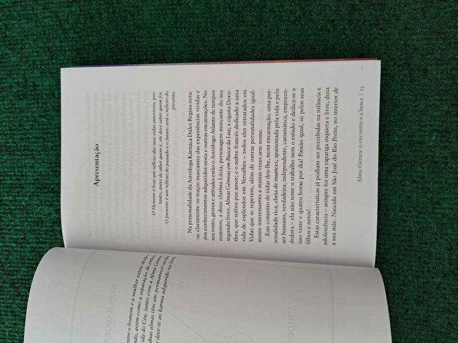 Alma Gémea - The Encounter and the Search - Dulce Regina64585827860097124