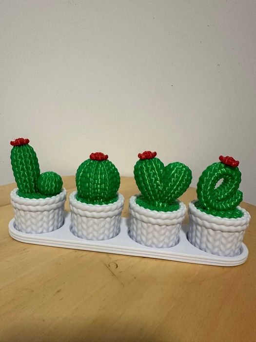 decoração Cacto love