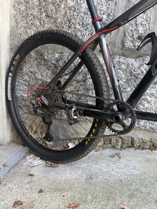 Coluer rave 290 roda 29