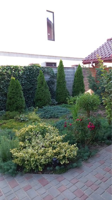 Дом с хорошей планировкой и садом ,В лесках