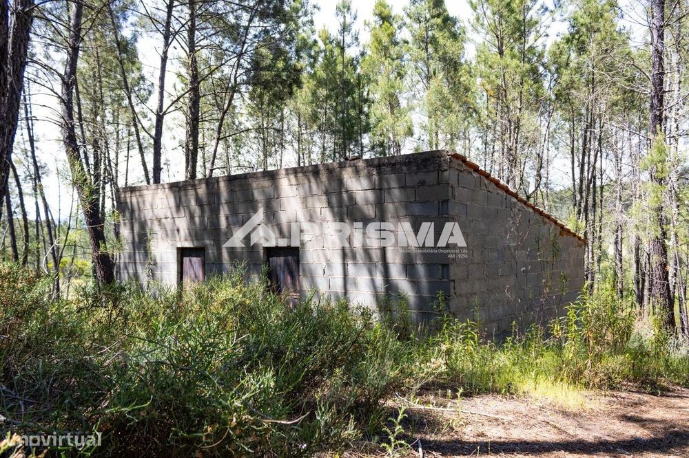 Terreno rústico para venda em Santo André das Tojeiras, Castelo Branco — Santo André das Tojeiras, Castelo Branco