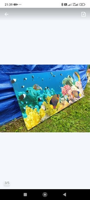 Duży obraz ocean rafa koralowa