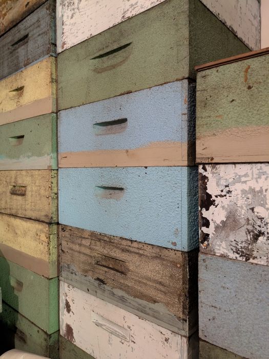Colmeias, quadros e alças