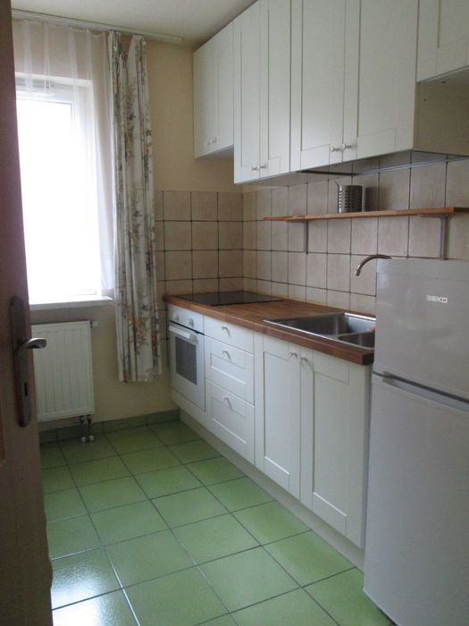 Kawalerka z osobną kuchnią i ogródkiem do wynajęcia