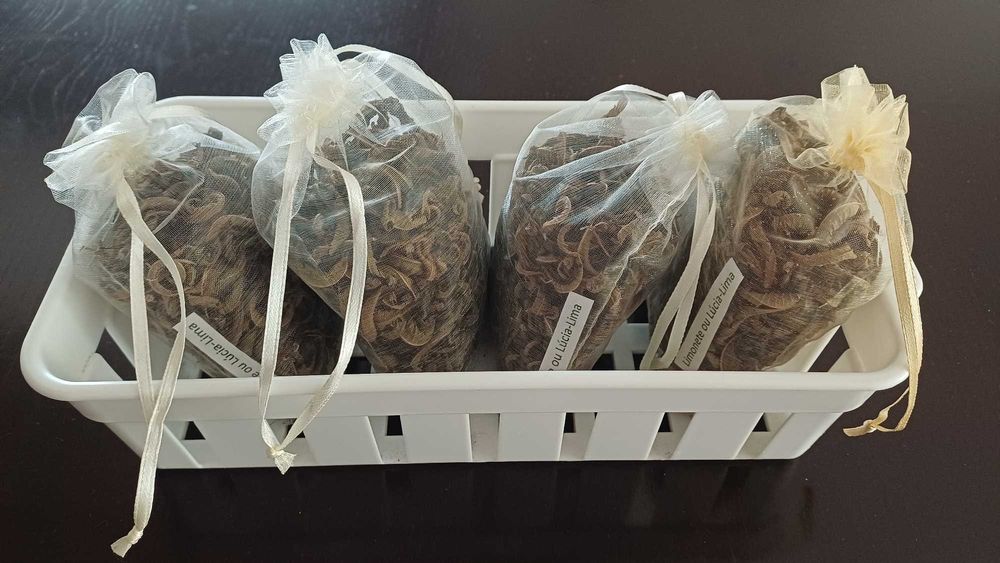 Chá de Limonete ou Lúcia Lima