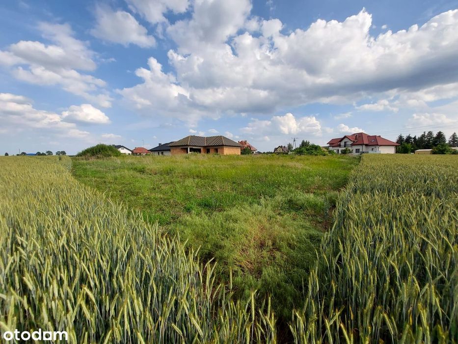 Działka 1386 m² z PROJEKTEM i POZWOLENIEM NA BUDOWĘ! Pigża k. Torunia - Widok 4