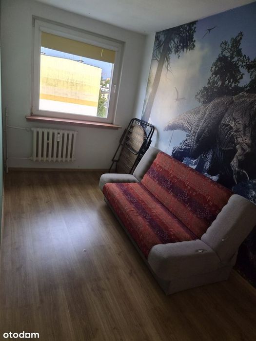 Zdjęcie 7