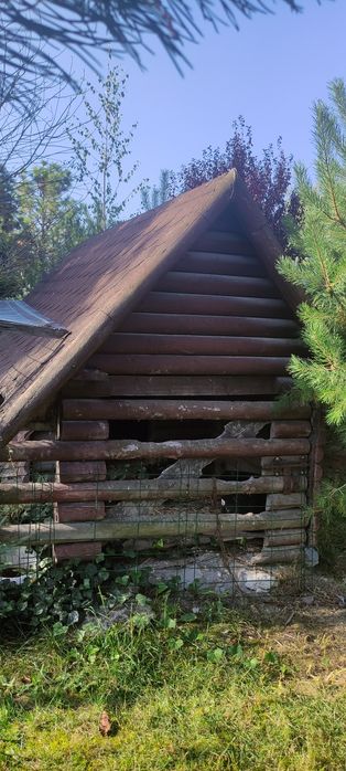 Buda dla dużego psa ocieplona z przedsionkiem