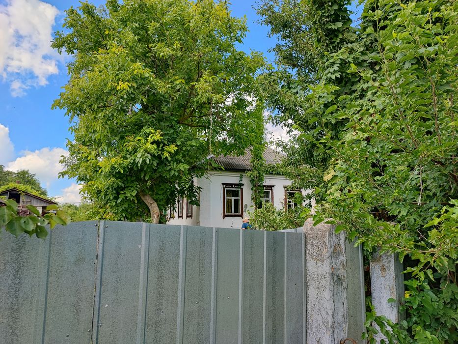 Продаж будинків у с. Підлипне